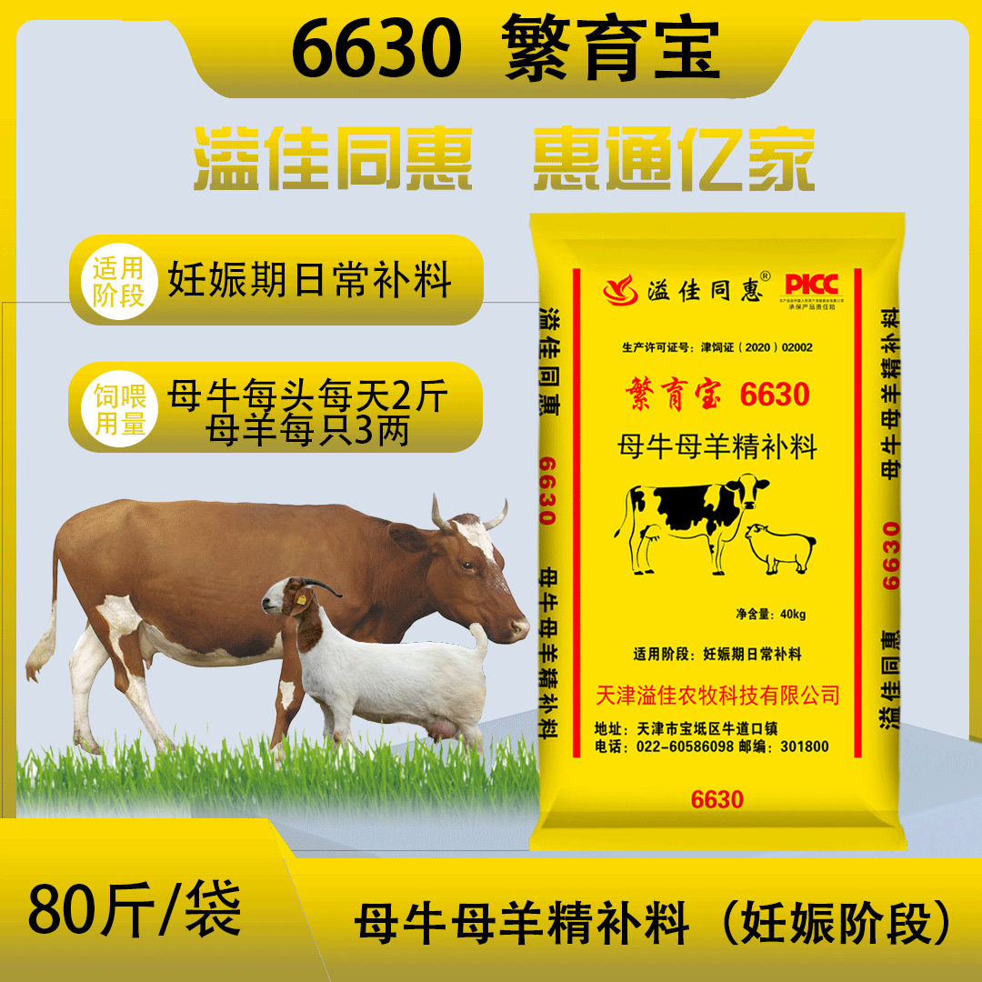 母牛母羊精补料（妊娠阶段）