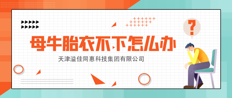 母牛胎衣不下怎么办