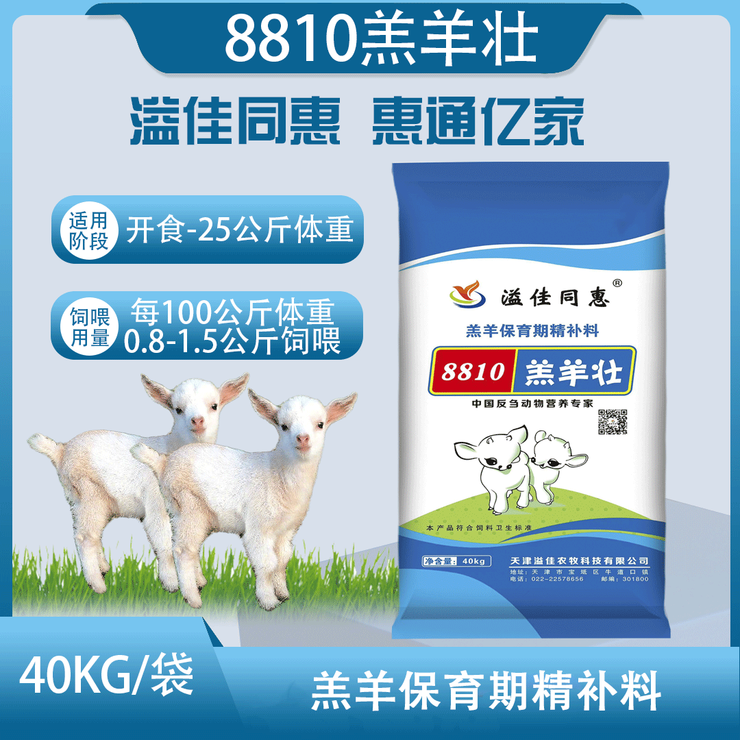 羔羊保育期精补料