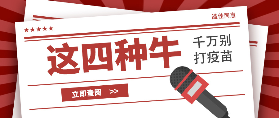 这四种牛，千万不要打疫苗！