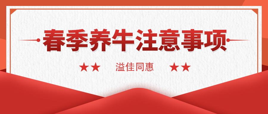 春季养牛注意事项